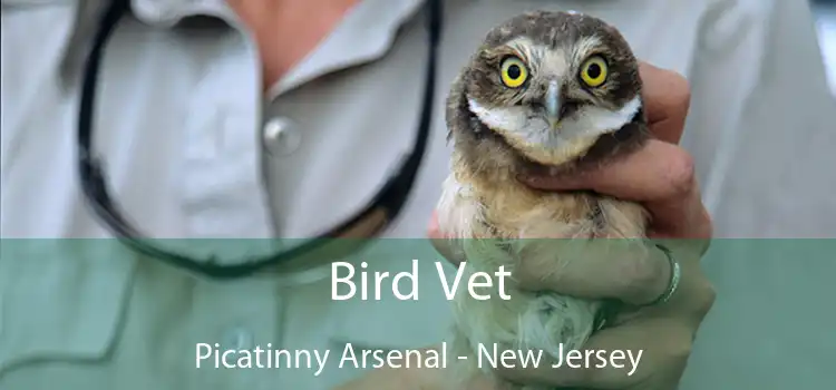 Bird Vet Picatinny Arsenal - New Jersey