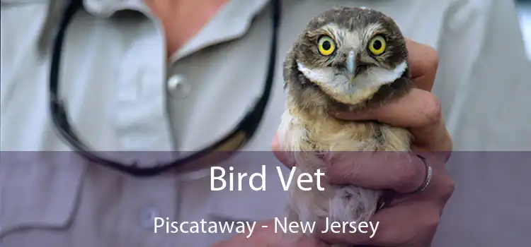 Bird Vet Piscataway - New Jersey