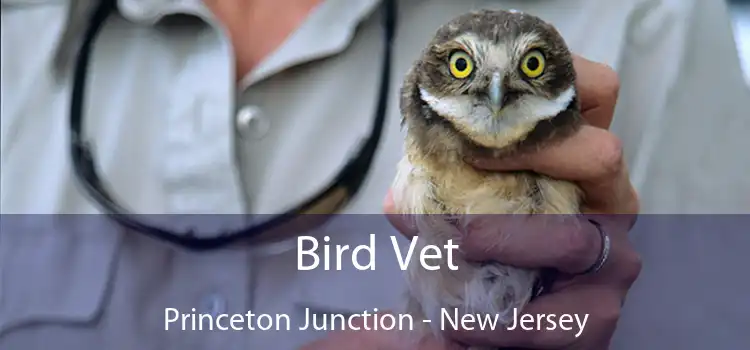 Bird Vet Princeton Junction - New Jersey