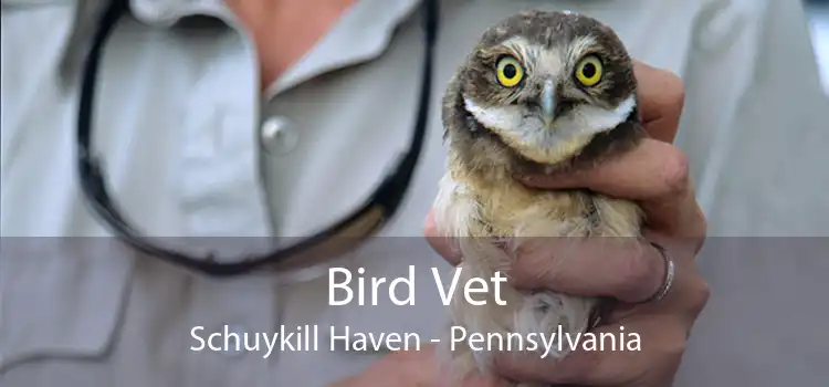 Bird Vet Schuykill Haven - Pennsylvania