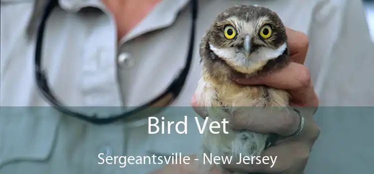 Bird Vet Sergeantsville - New Jersey