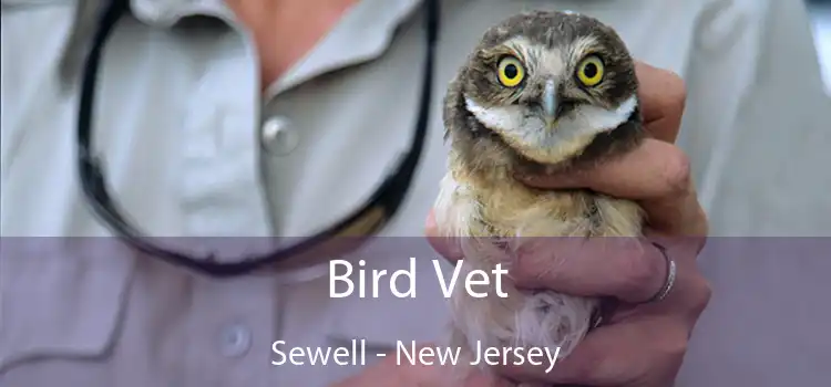 Bird Vet Sewell - New Jersey