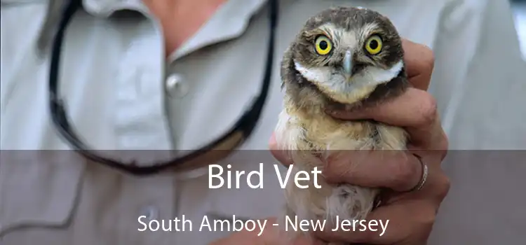 Bird Vet South Amboy - New Jersey