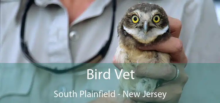 Bird Vet South Plainfield - New Jersey