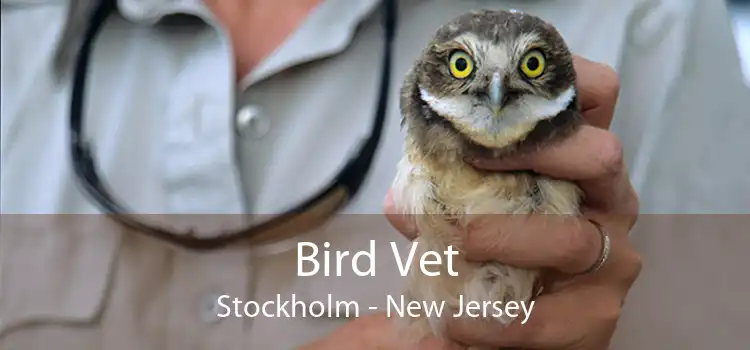 Bird Vet Stockholm - New Jersey