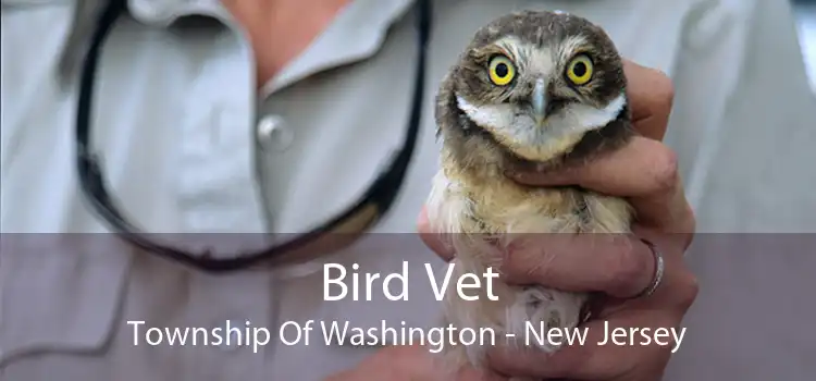 Bird Vet Township Of Washington - New Jersey