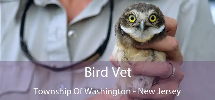Bird Vet Township Of Washington - New Jersey