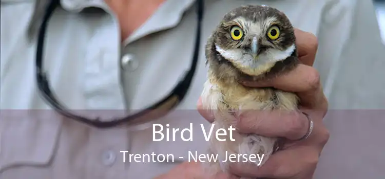 Bird Vet Trenton - New Jersey