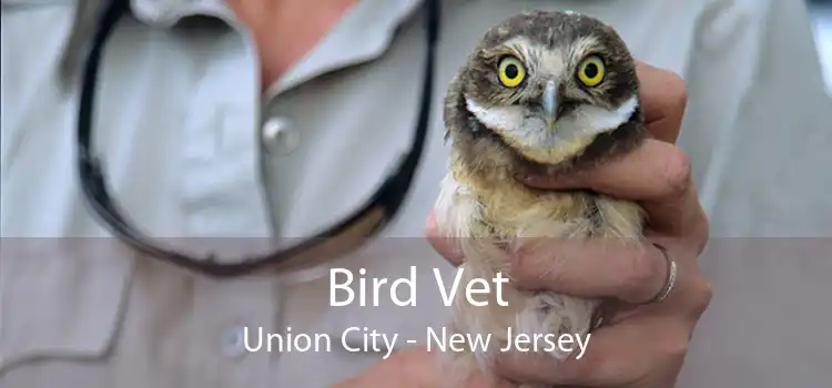 Bird Vet Union City - New Jersey