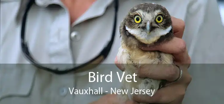 Bird Vet Vauxhall - New Jersey