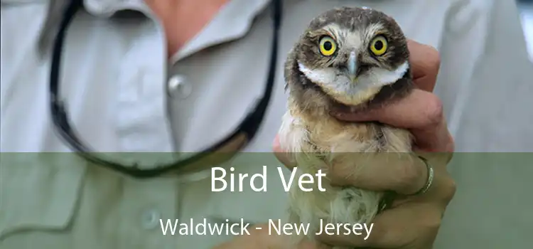 Bird Vet Waldwick - New Jersey