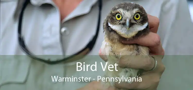 Bird Vet Warminster - Pennsylvania