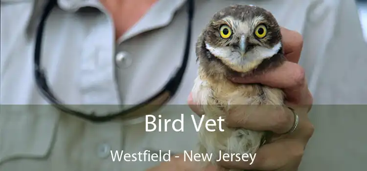 Bird Vet Westfield - New Jersey