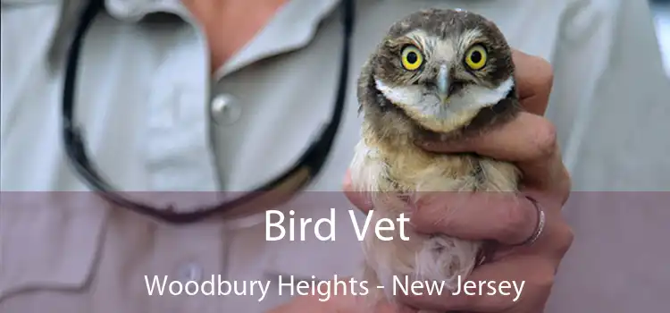 Bird Vet Woodbury Heights - New Jersey