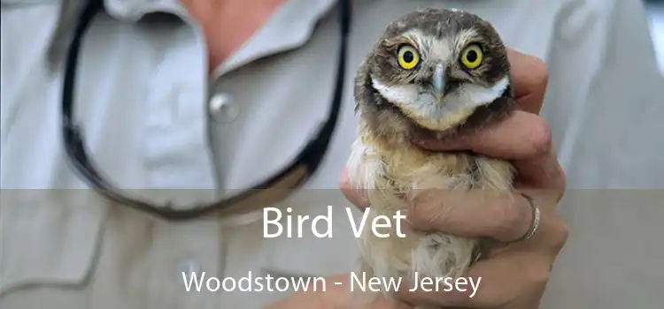 Bird Vet Woodstown - New Jersey