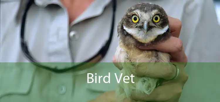 Bird Vet