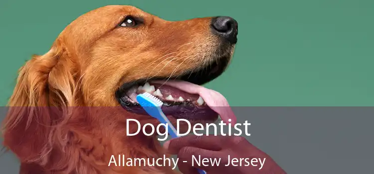 Dog Dentist Allamuchy - New Jersey
