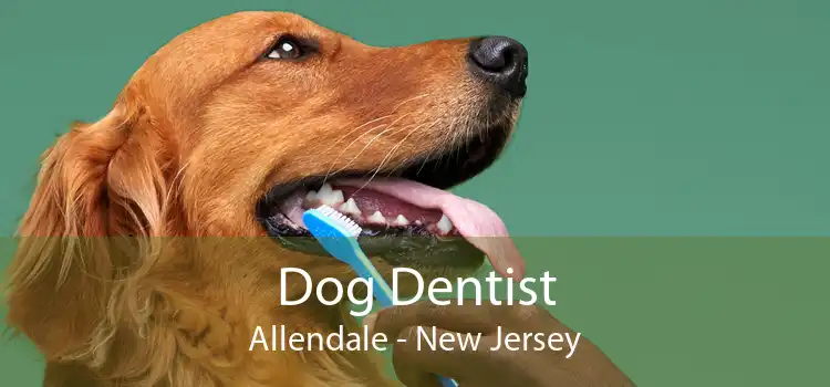 Dog Dentist Allendale - New Jersey