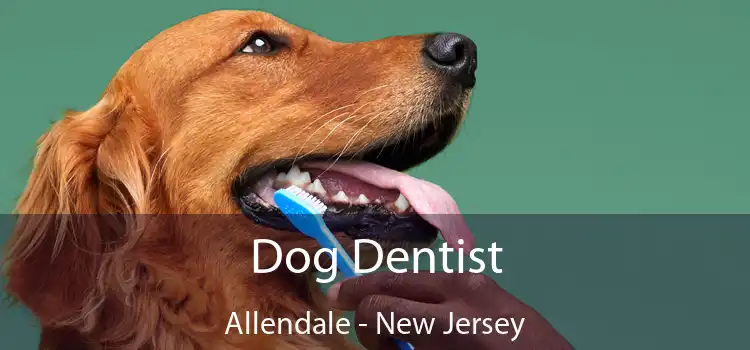 Dog Dentist Allendale - New Jersey