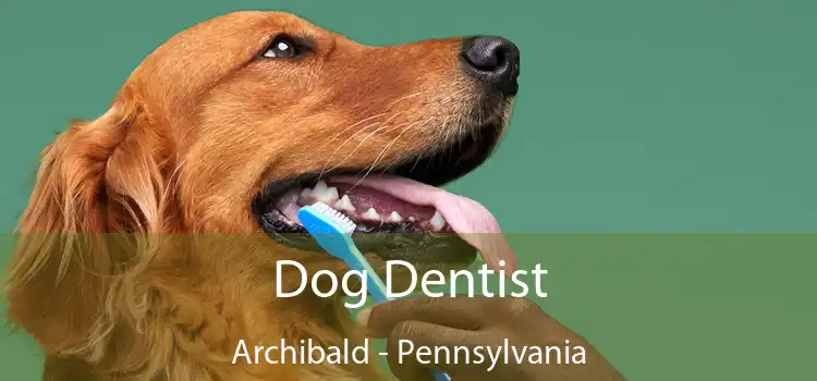 Dog Dentist Archibald - Pennsylvania