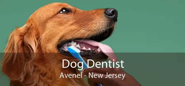 Dog Dentist Avenel - New Jersey