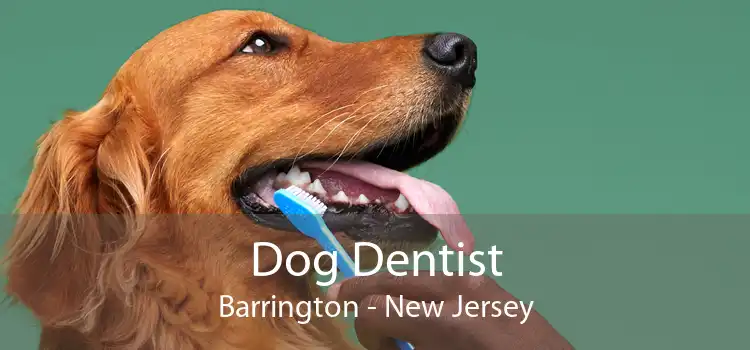 Dog Dentist Barrington - New Jersey