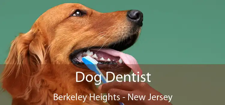 Dog Dentist Berkeley Heights - New Jersey