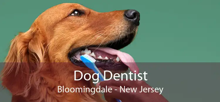 Dog Dentist Bloomingdale - New Jersey