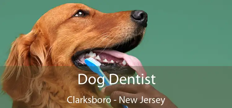 Dog Dentist Clarksboro - New Jersey