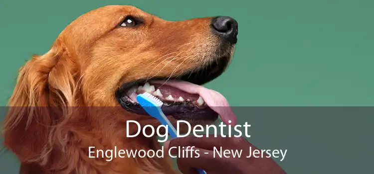 Dog Dentist Englewood Cliffs - New Jersey
