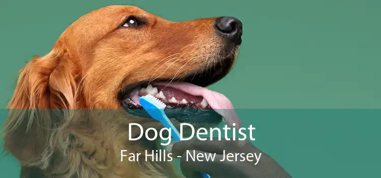 Dog Dentist Far Hills - New Jersey
