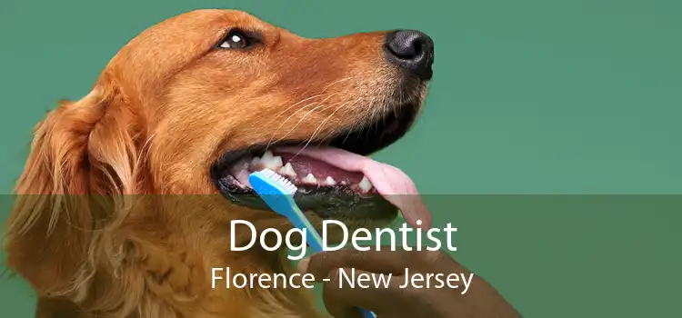 Dog Dentist Florence - New Jersey