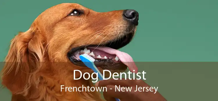 Dog Dentist Frenchtown - New Jersey