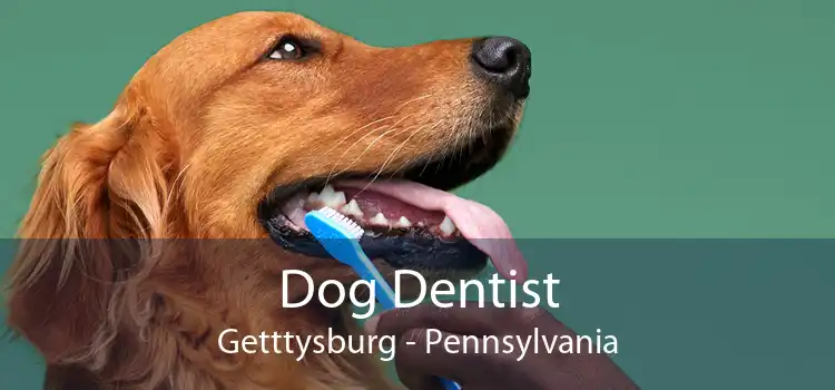 Dog Dentist Getttysburg - Pennsylvania