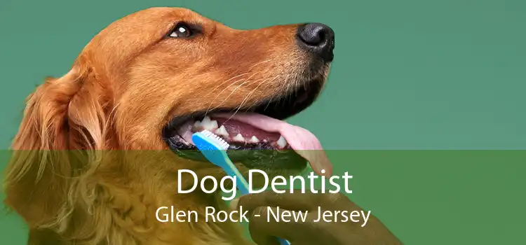 Dog Dentist Glen Rock - New Jersey