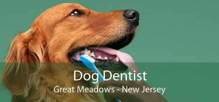 Dog Dentist Great Meadows - New Jersey