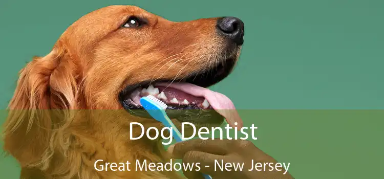 Dog Dentist Great Meadows - New Jersey