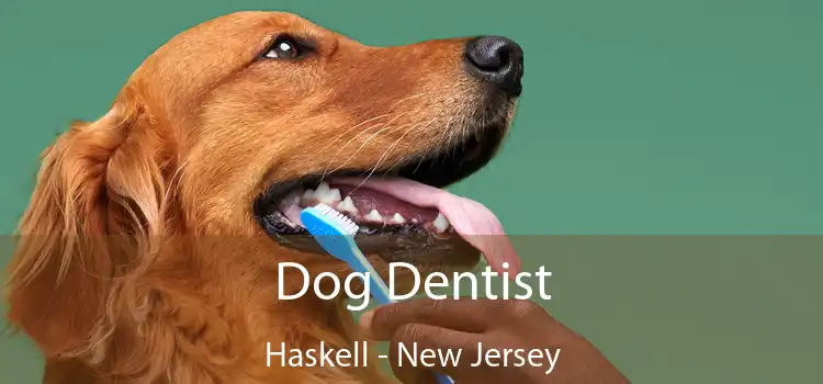 Dog Dentist Haskell - New Jersey