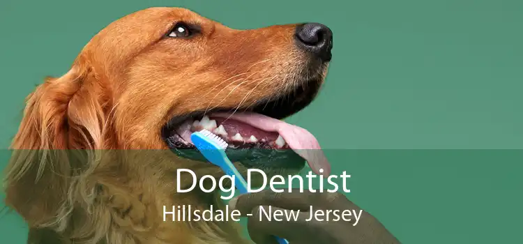 Dog Dentist Hillsdale - New Jersey