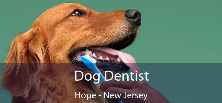 Dog Dentist Hope - New Jersey