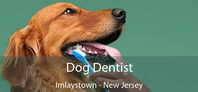 Dog Dentist Imlaystown - New Jersey