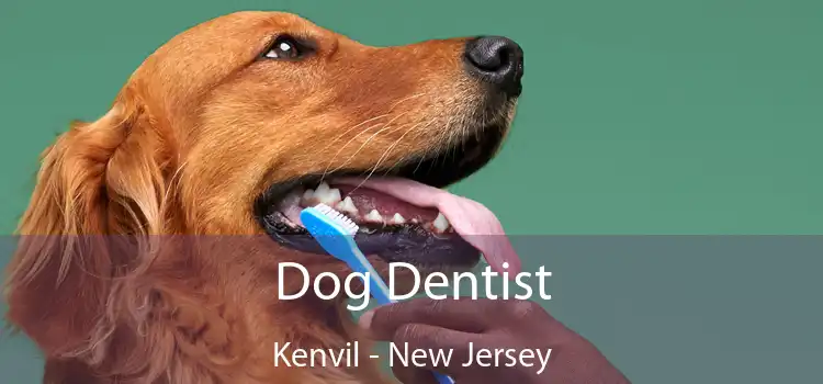 Dog Dentist Kenvil - New Jersey