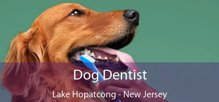 Dog Dentist Lake Hopatcong - New Jersey