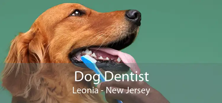 Dog Dentist Leonia - New Jersey
