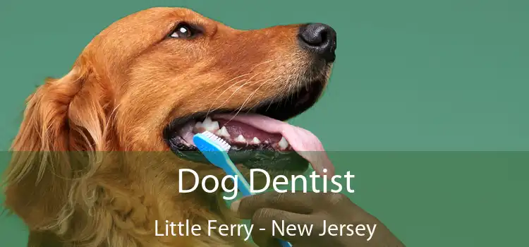 Dog Dentist Little Ferry - New Jersey