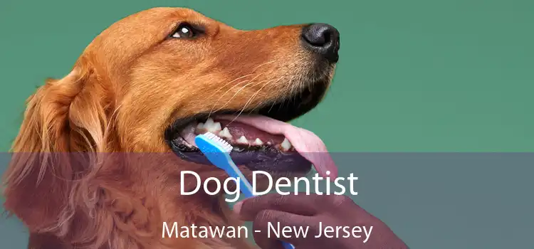 Dog Dentist Matawan - New Jersey