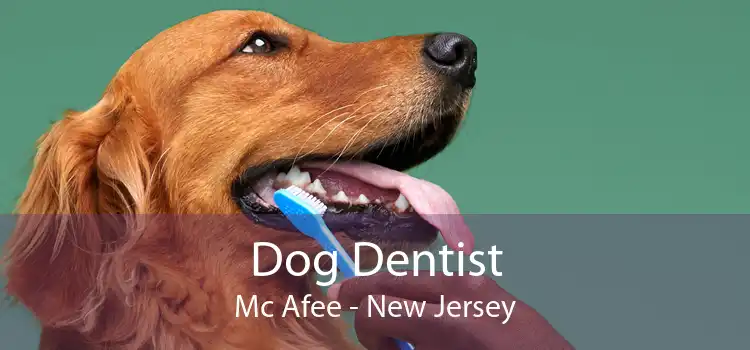 Dog Dentist Mc Afee - New Jersey