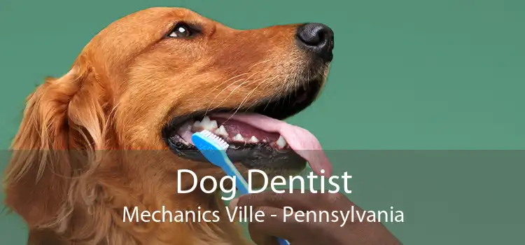 Dog Dentist Mechanics Ville - Pennsylvania