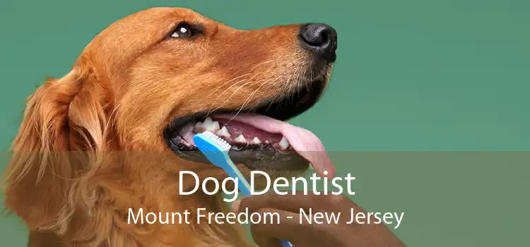 Dog Dentist Mount Freedom - New Jersey