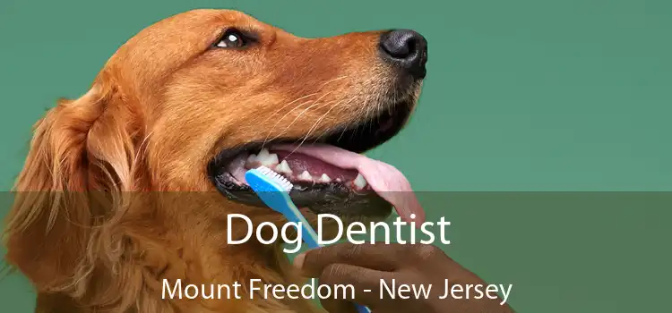 Dog Dentist Mount Freedom - New Jersey